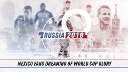 Fan colour - Mexico fans dreaming of World Cup glory