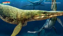 Top 10 quái vật đại dương đáng sợ nhất thời tiền sử