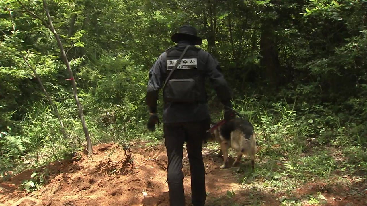 강진 실종 여고생 추정 시신 발견..."옷 벗겨진 상태" / YTN