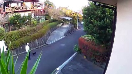 EDR December #4 2017 Gardener And Helicopter Sound In The Neighborhood 3636