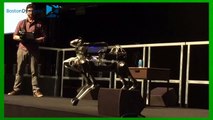 Boston Dynamics Spotmini Demo at Nips 2016 in Barcelona
