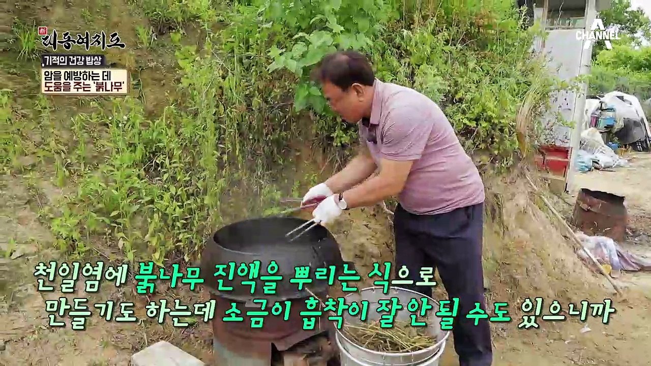 붉나무로 위암을 극복한 사나이! 붉나무 먹는 방법은?