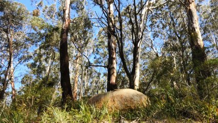 Australia's Unique Oceanic Origins 🌊