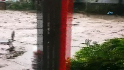 Bilecik'te sel önüne gelen her şeyi süpürdü