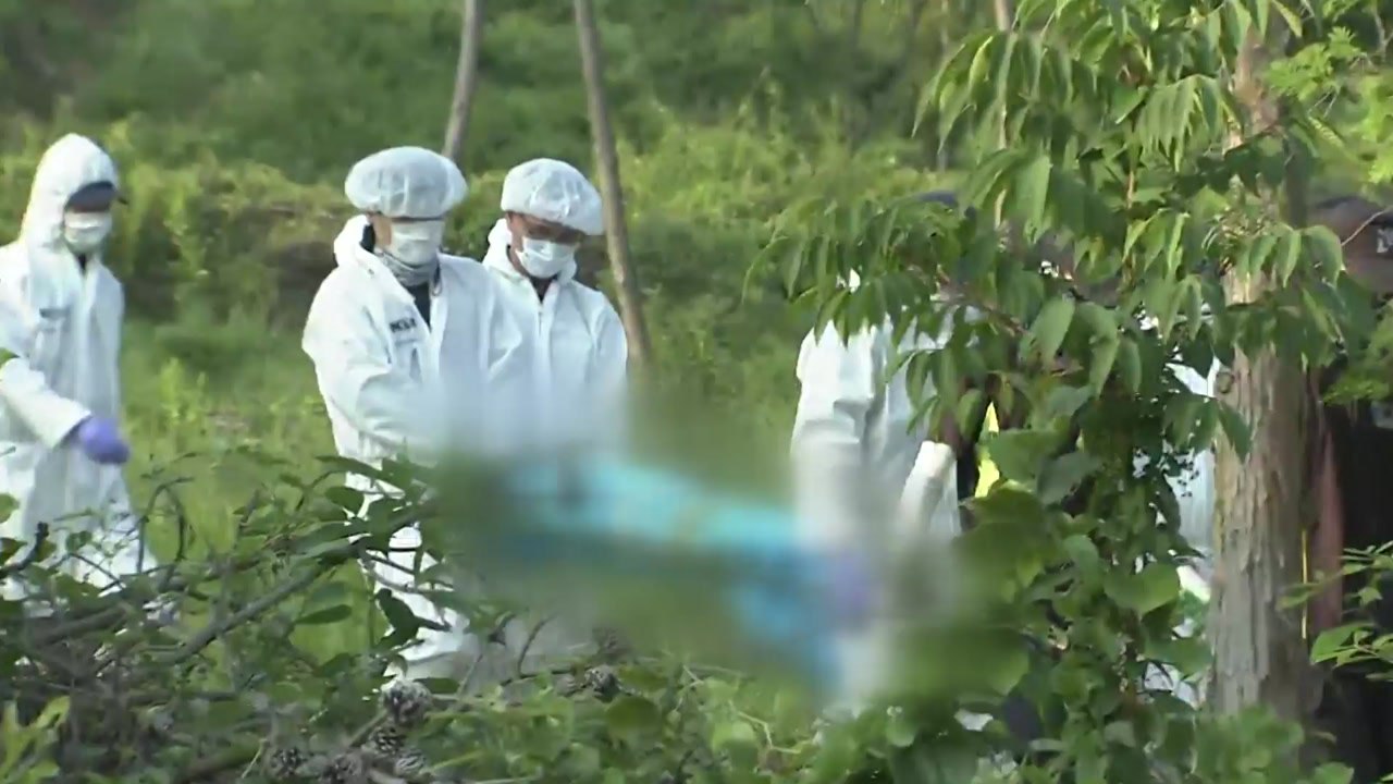 강진 실종 여고생 추정 시신 발견..."신원 확인 중" / YTN