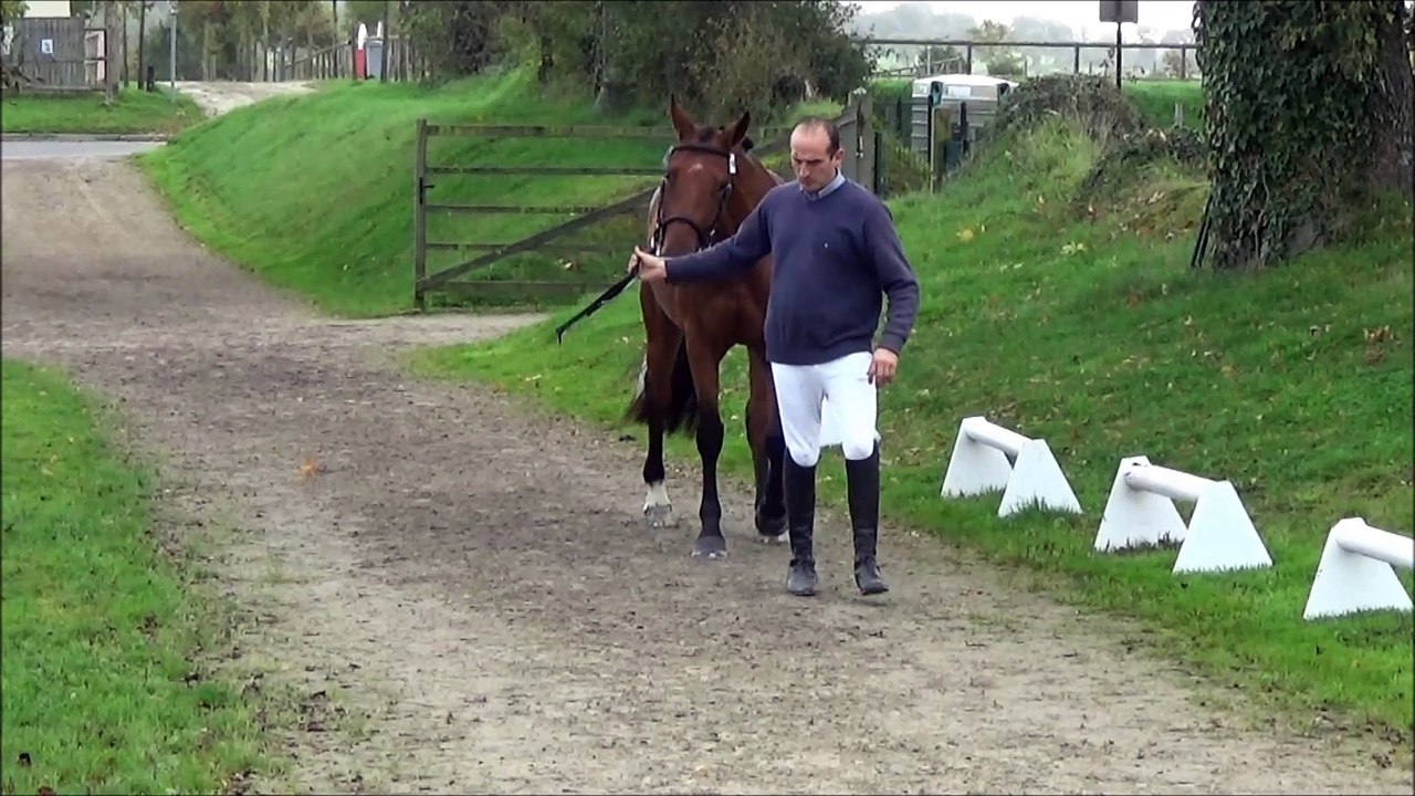 Elyra des Edènes regional 3 ans