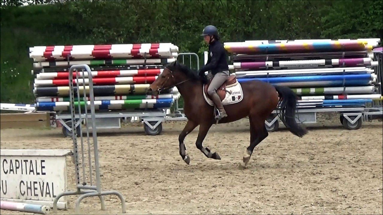 Fidji du Lorey saut monté