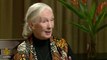 Jane Goodall: Chimpanzees, humanity and all that binds them - Talk to Al Jazeera