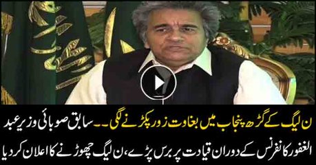 Former Punjab minister lashes at PML-N leadership