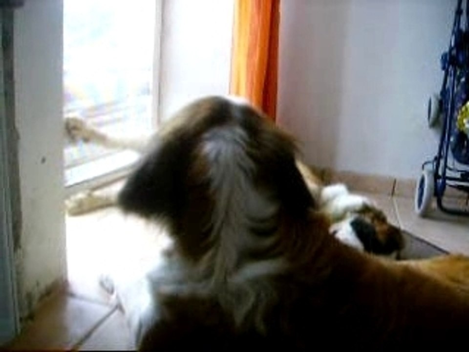 IMGP0411