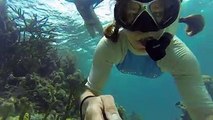 Hello from sunny Belize, Central America! It may be a while till December but snorkeling here off Turneffe Island, I can find living Christmas trees underwater