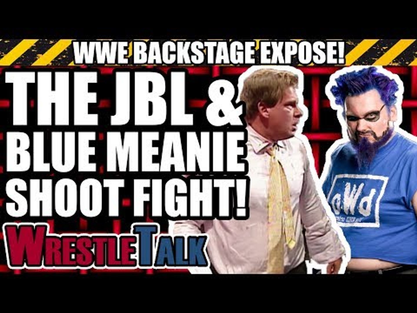 The TRUE STORY Behind JBL And Blue Meanie WWE SHOOT FIGHT! | WWE Backstage  Expose - video Dailymotion