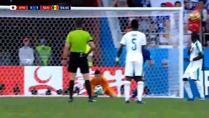 Makoto Hasebe nose injury