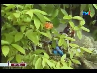 Keris Hitam Bersepuh Emas (Episod 5)