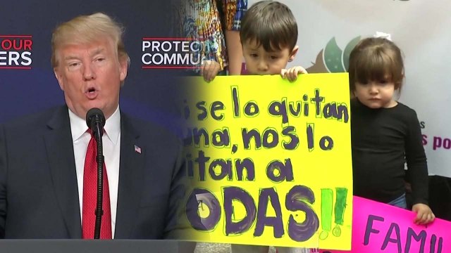 트럼프, 또 反이민 강경책 ... 재판 없이 즉시 추방 / YTN