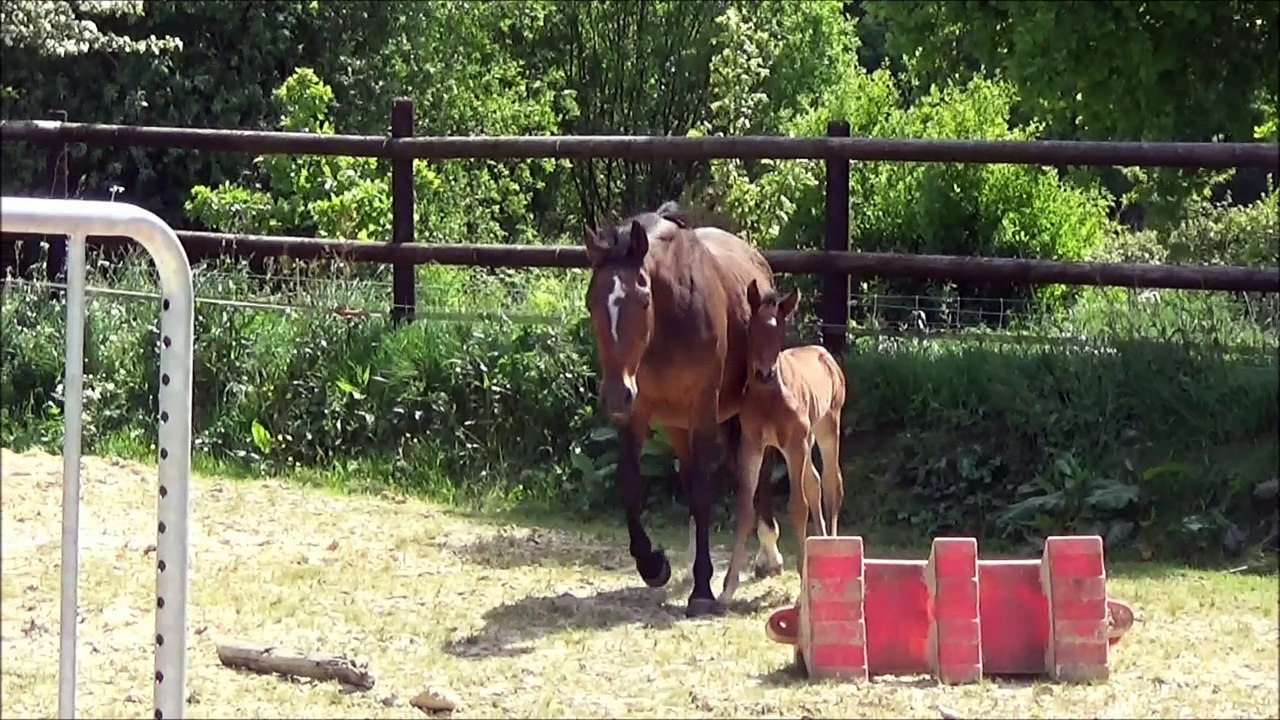 Izatyss des Edènes 8 10j