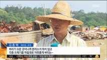 버려진 차량까지 소각…서해 섬마을 쓰레기로 '몸살'