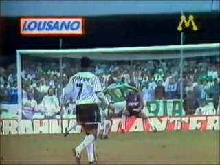 Tải video: Osmar Santos e Oscar Ulisses: Palmeiras campeão paulista (12/06/1993)