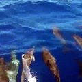 Giving guests a welcome they'll never forget, these friendly #dolphins came to say #talofa to Amoa Resort's boat charter guests in the warm waters off Savai'i.