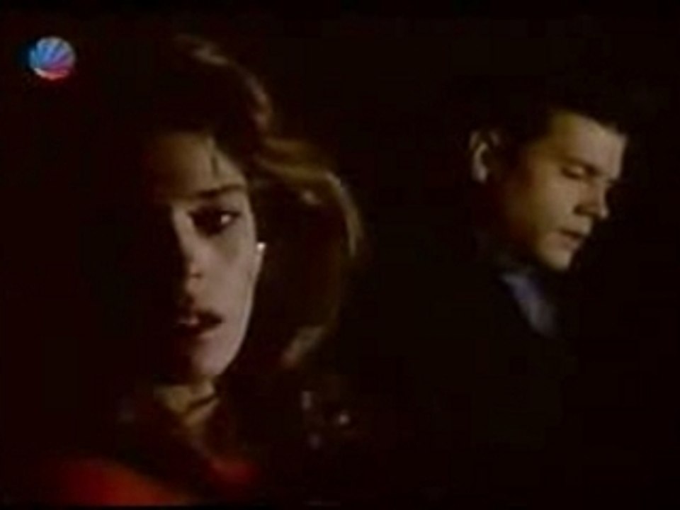 Fluch über Falcon Crest