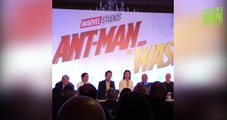 'Ant-Man and the Wasp' Star Evangeline Lilly Reveals Which Character She Wants Wasp to Team Up With