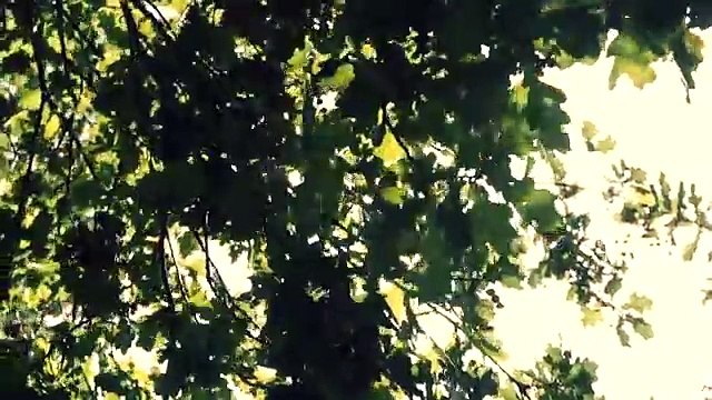 Salve Regina - kazanie na 25 gardeł