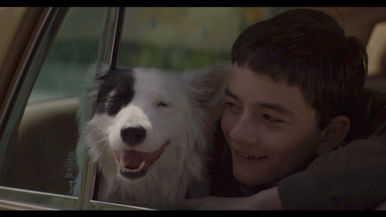 Vera Farmiga, Christopher Plummer In 'Boundaries' New Trailer