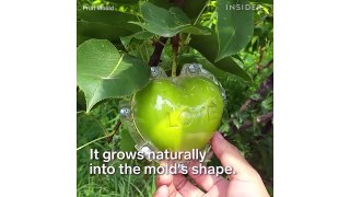 Grow Fruit Into Fun Shapes