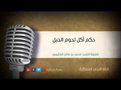 حكم أكل لحوم الخيل | الشيخ محمد صالح العثيمين