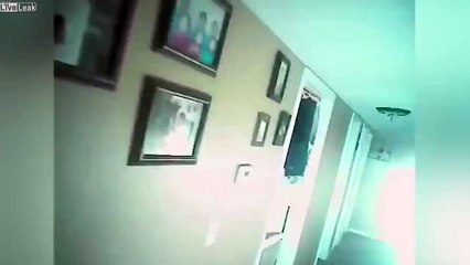 Cop shoots a little girl instead of the family dog