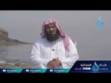 018 قصه صلى الله 29عليه وسلم أطفال فى حجر الحبيب