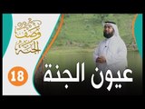 عيون الجنة | وصف الجنة 18