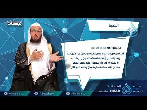 محطة المحبة| ح13 | محطات | الدكتور فالح بن محمد الصغير