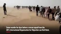 Thousands of Migrants Abandoned in Sahara Desert