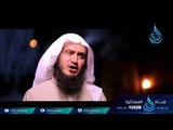 مع النبي ﷺ |ح12| الشيخ علي بن أحمد باقيس والشيخ عبد اللطيف بن هاجس الغامدي