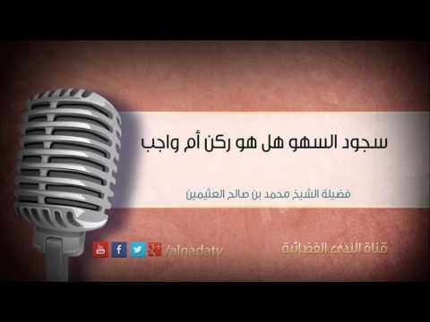 سجود السهو هل هو ركن أم واجب | فضيلة الشيخ محمد بن صالح العثيمين