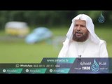 السعادة | ح 16| وقفات قرآنية | الشيخ الدكتور سعيد بن مسفر