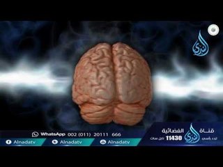 الناصية | د عبدالله المصلح