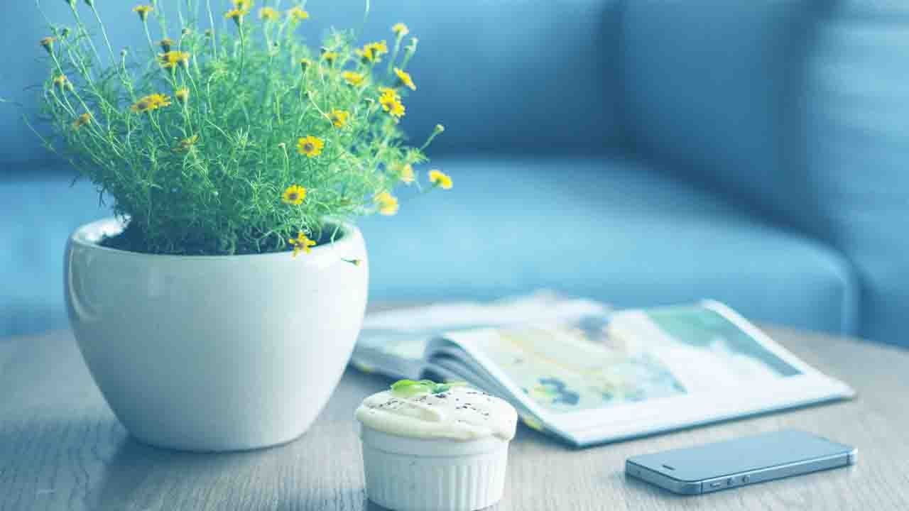 Tips to Make Your House Eco-Friendly: ऐसे बनाएं...