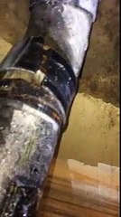 Un plombier a une surprise en débouchant une canalisation