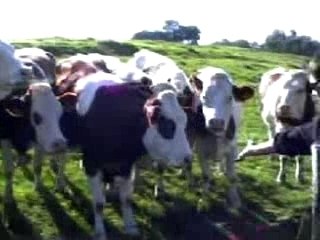 Alerte Rouge "Les filles"