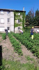 Des jardins pour les Restos du coeur