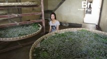 Comment est fabriquée la soie ?
