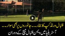 Kangaroo invades pitch at football match in Canberra