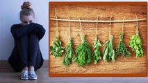 Herbs to cure Depression: दिमाग को शांत कर, डिप्रेशन दूर भगाती हैं ये जड़ी बूटियाँ | Boldsky