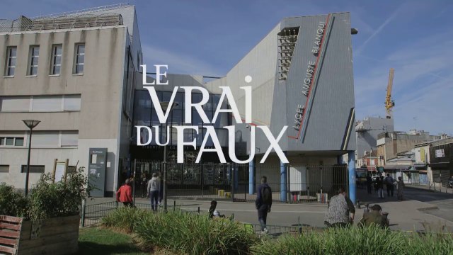 Bande-annonce : « Le Vrai du faux », de Zoe Lamazou et Sébastien Koegler