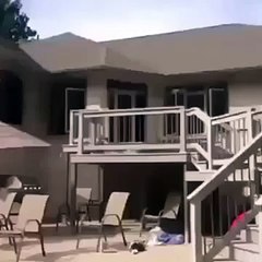 라이브바카라【 VP8282。COM 】 *