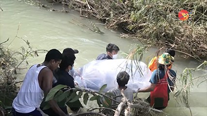 မိသားစုလိုက္ ေရထဲေမ်ာပါသြားတဲ့ ေရႀကီီးမႈ ျဖစ္ရပ္ (႐ုပ္သံ)