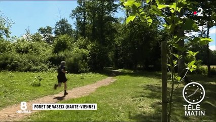 Vacances : en forêt, attention aux tiques