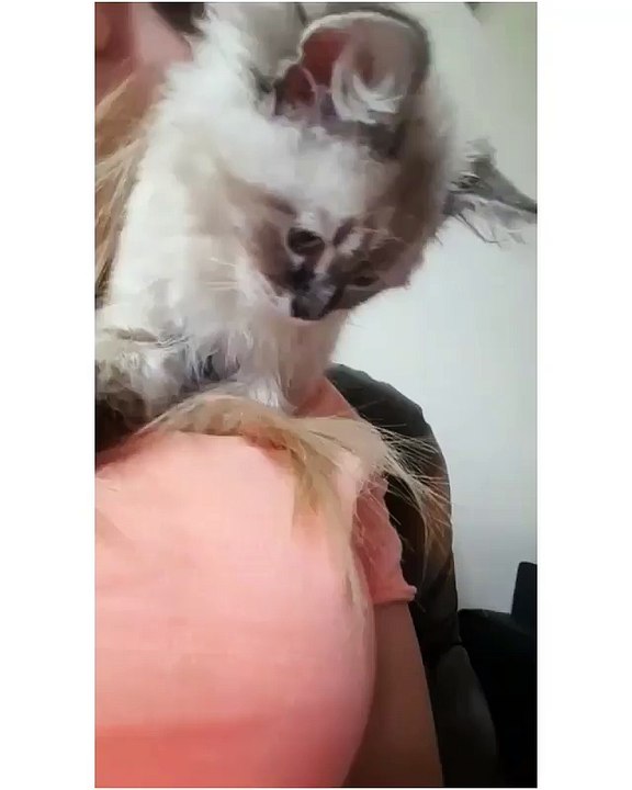 My new cat looking for me